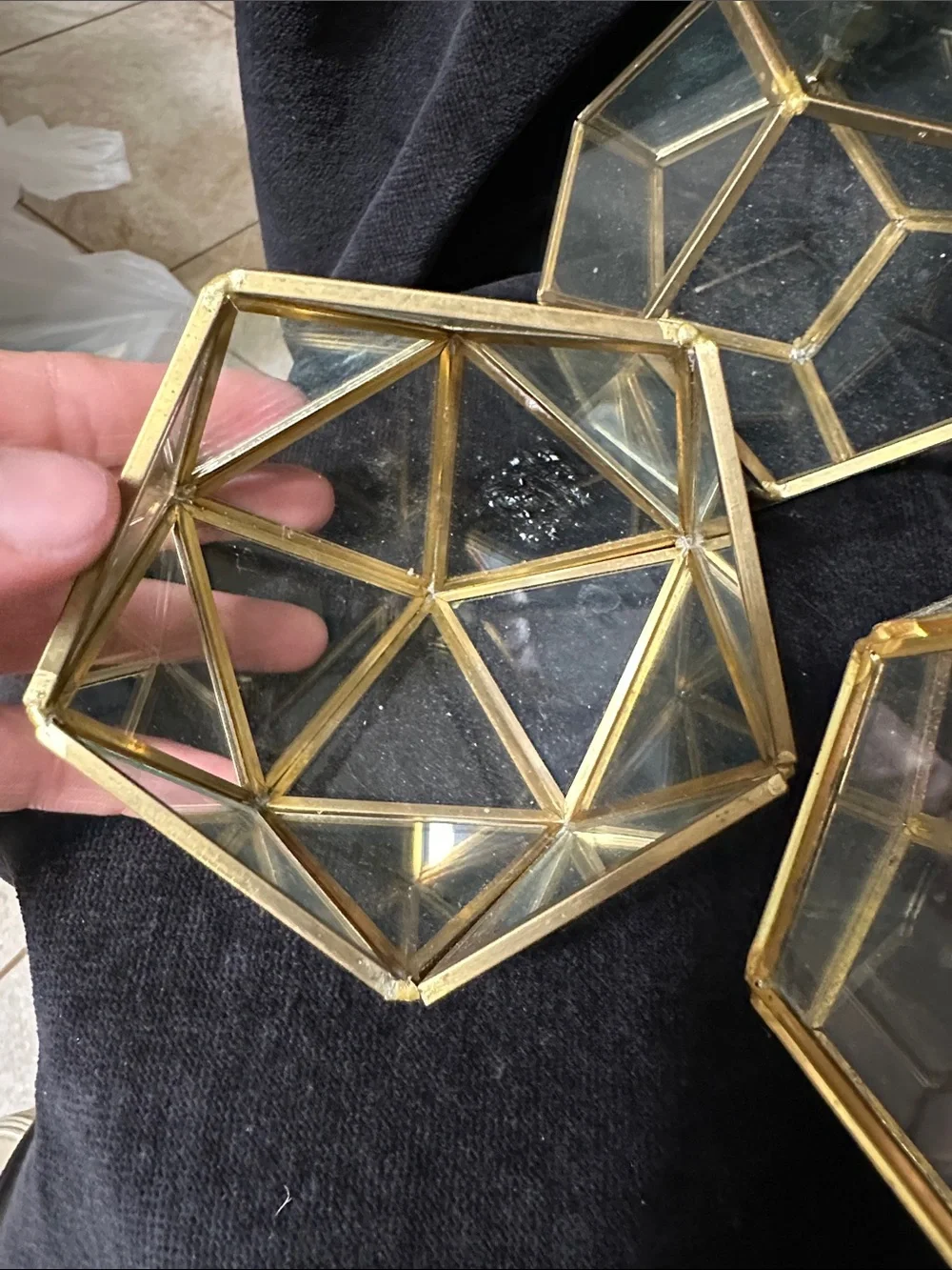 Geometric Glass Terrarium Set of 5